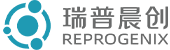 瑞普晨创