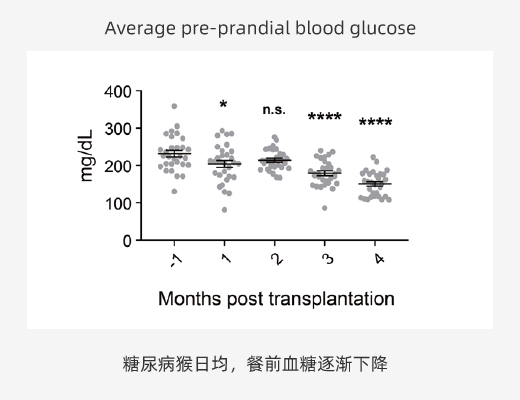 瑞普晨创