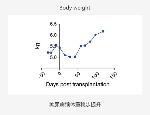 瑞普晨创