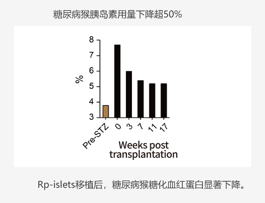 瑞普晨创