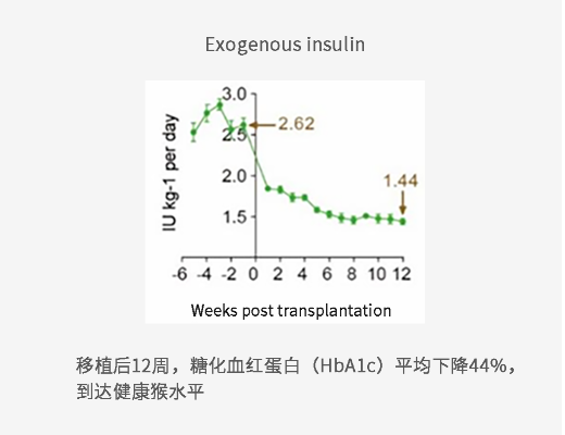 瑞普晨创