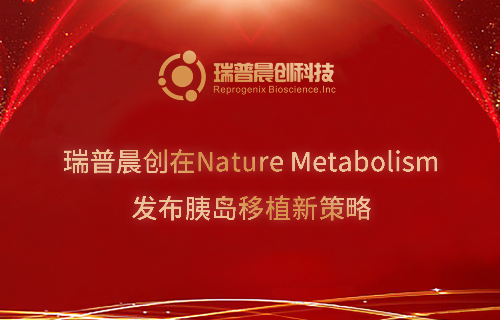 瑞普晨创