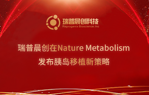 瑞普晨创