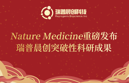 瑞普晨创