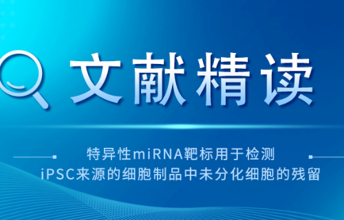 瑞普晨创