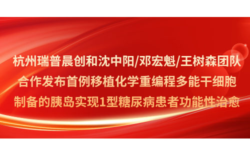 瑞普晨创