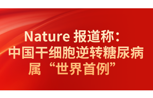 瑞普晨创